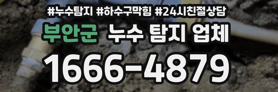 부안군 누수 탐지 업체