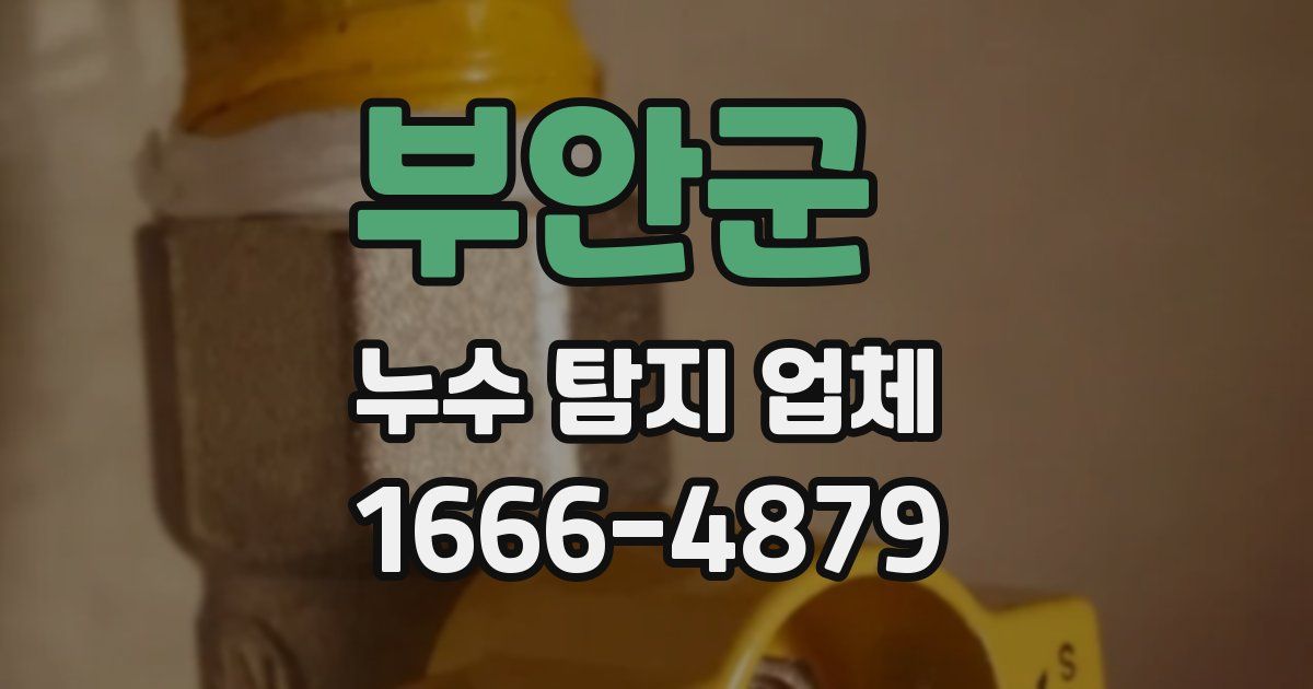 부안군 누수 탐지 업체