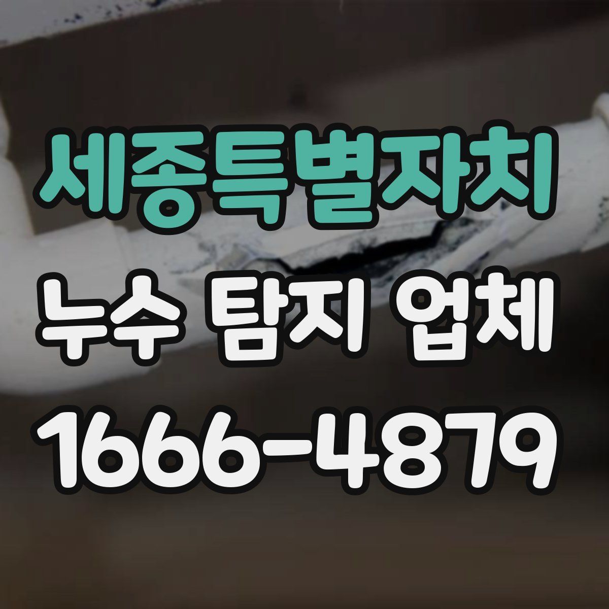 세종특별자치 누수 탐지 업체
