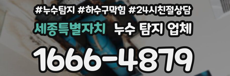 세종특별자치 누수 탐지 업체