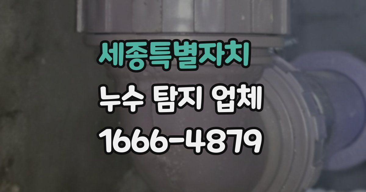 세종특별자치 누수 탐지 업체