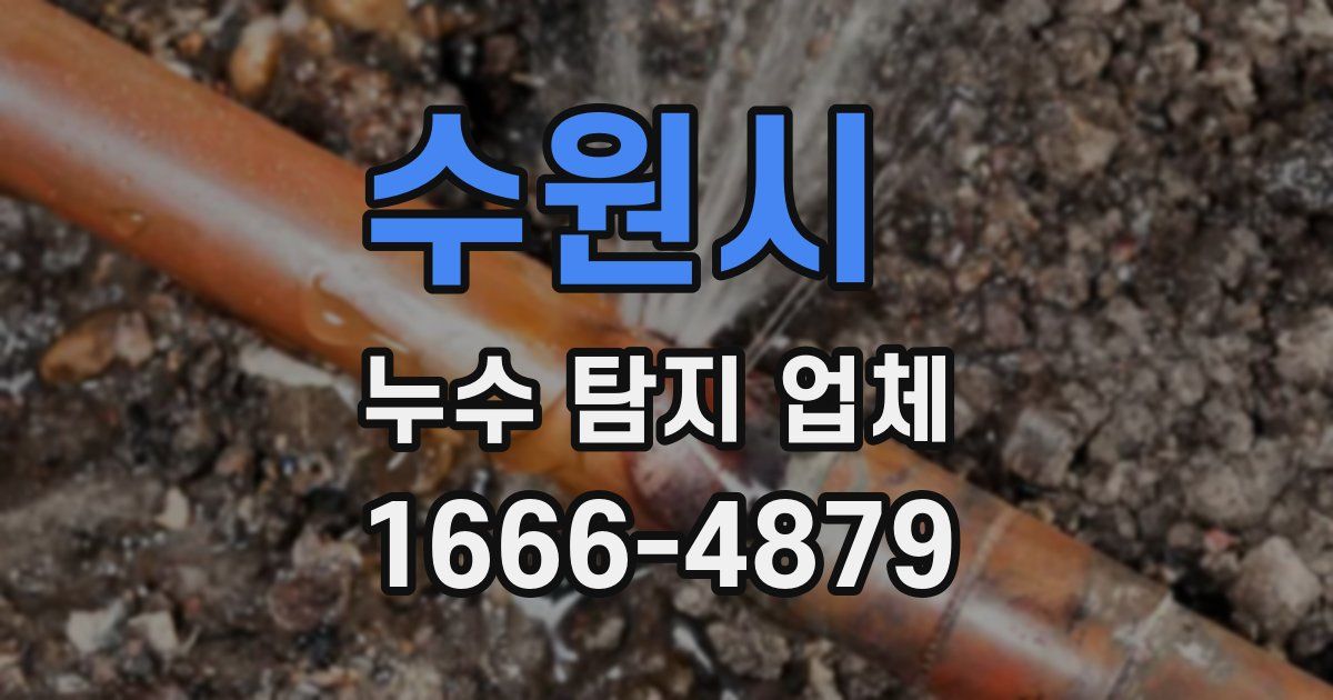 수원시 누수 탐지 업체