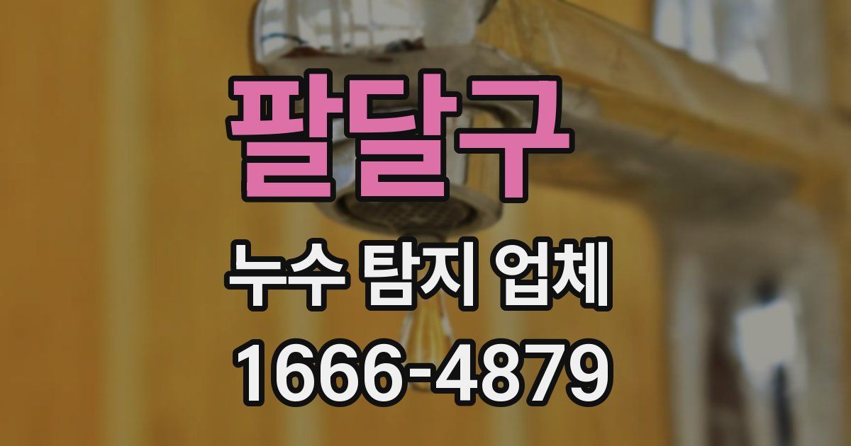 팔달구 누수 탐지 업체