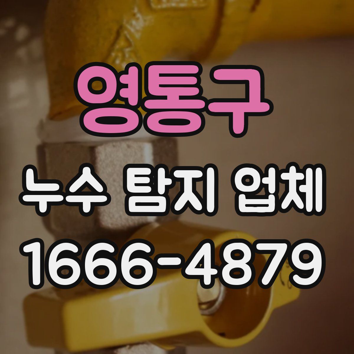 영통구 누수 탐지 업체