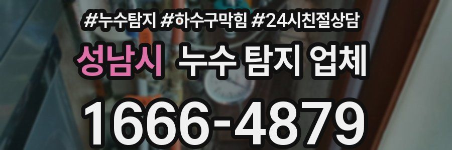 성남시 누수 탐지 업체
