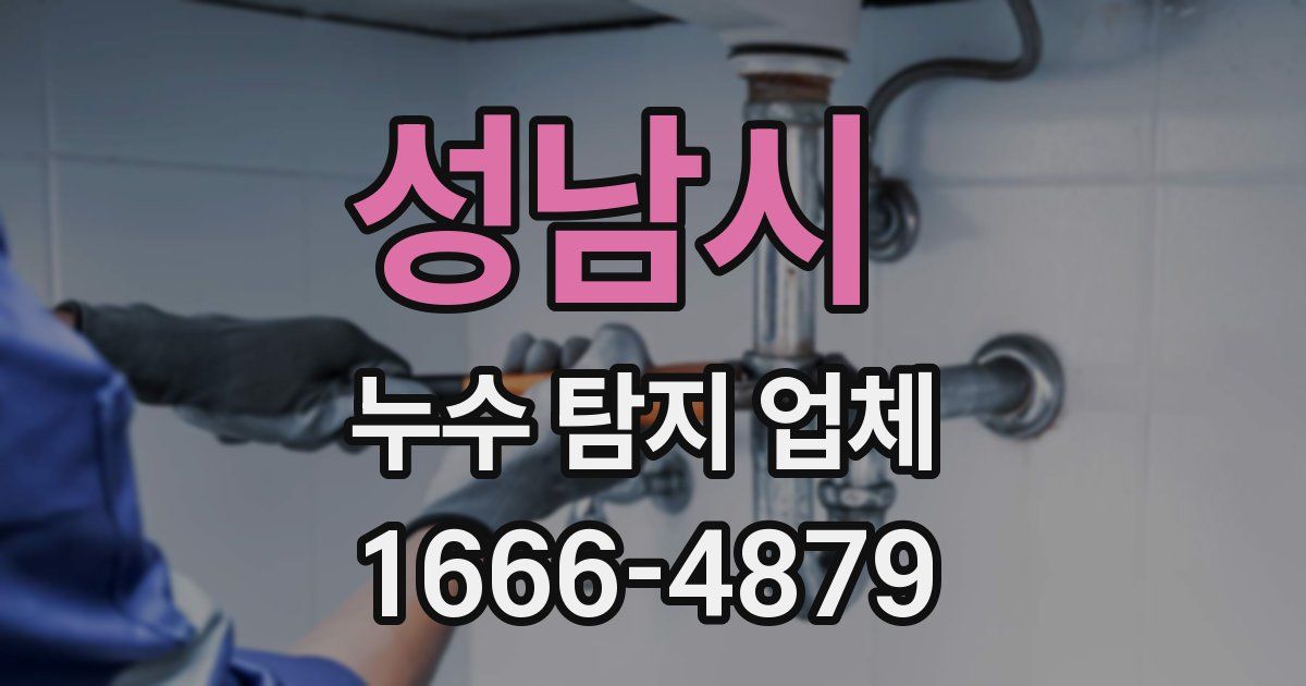 성남시 누수 탐지 업체
