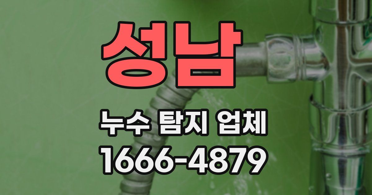 성남 누수 탐지 업체