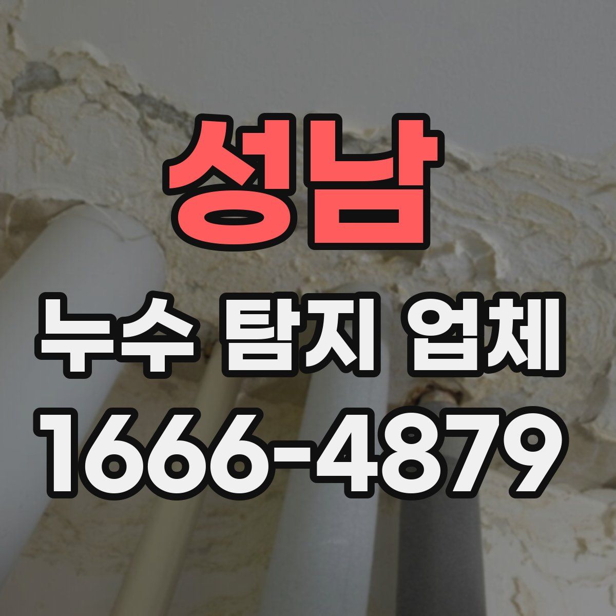 성남 누수 탐지 업체