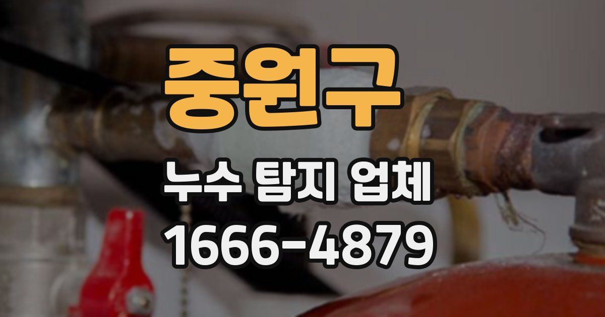 중원구 누수 탐지 업체