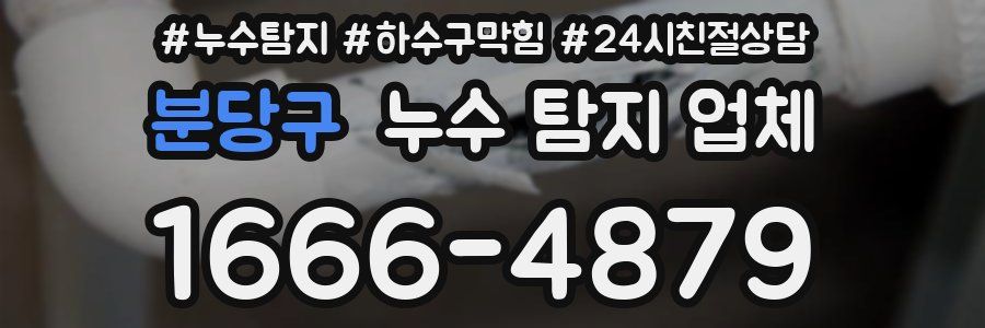 분당구 누수 탐지 업체
