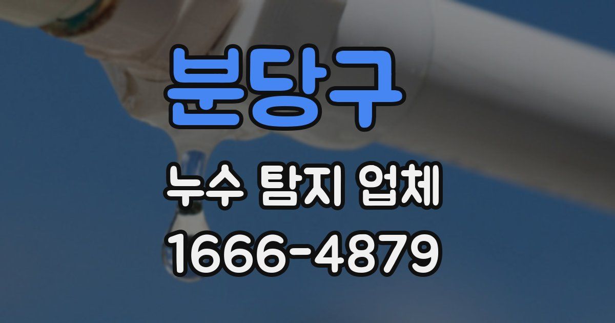 분당구 누수 탐지 업체