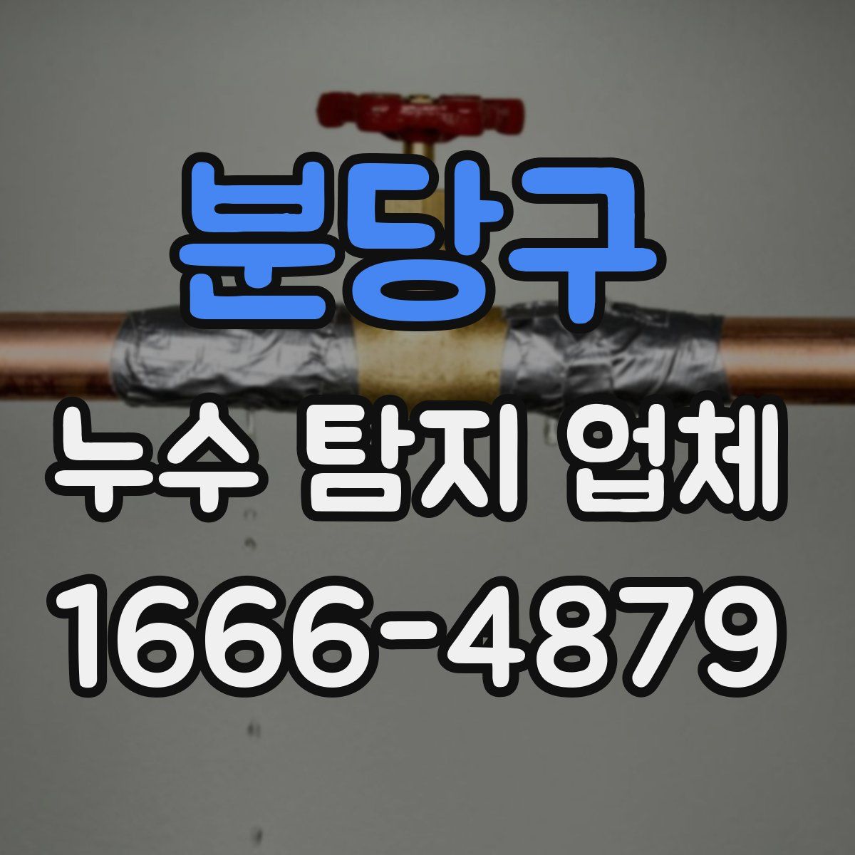 분당구 누수 탐지 업체