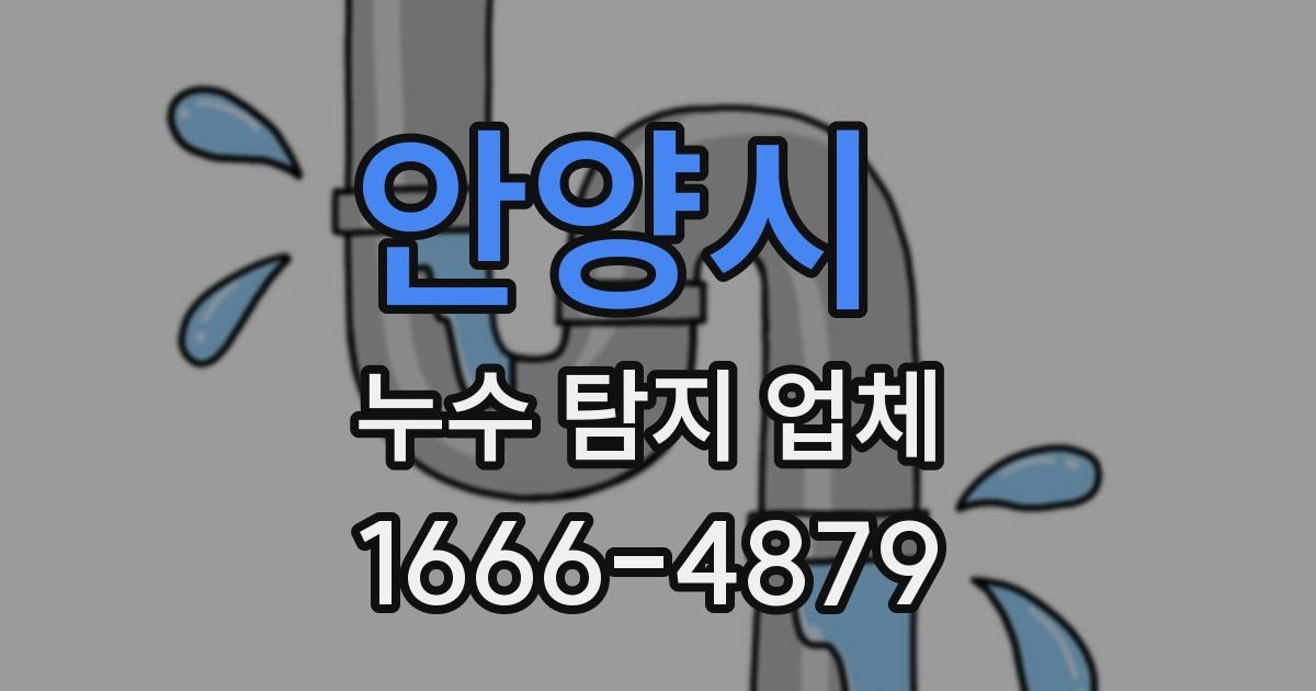 안양시 누수 탐지 업체