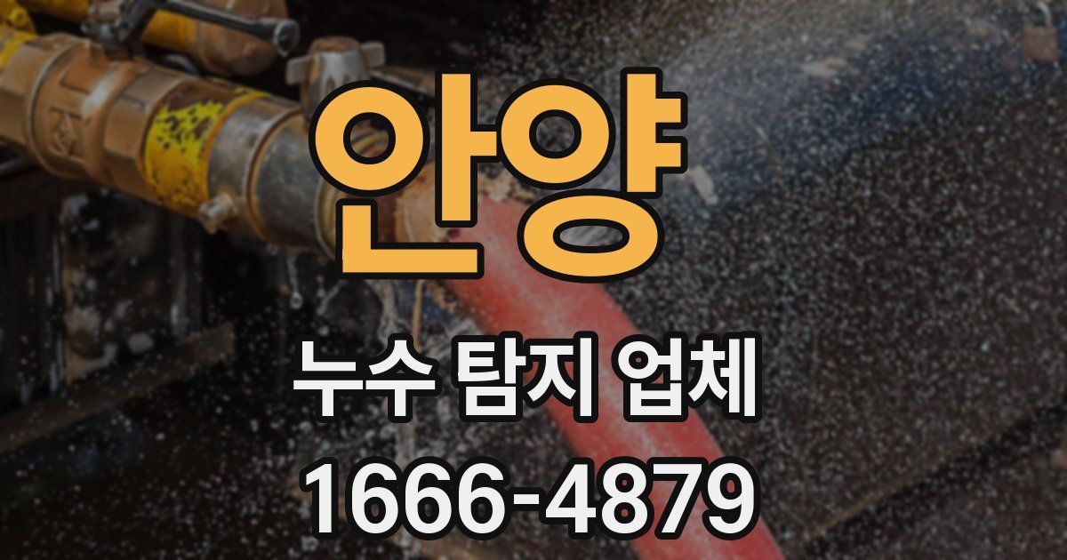 안양 누수 탐지 업체