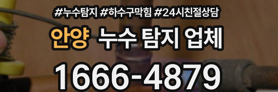 안양 누수 탐지 업체