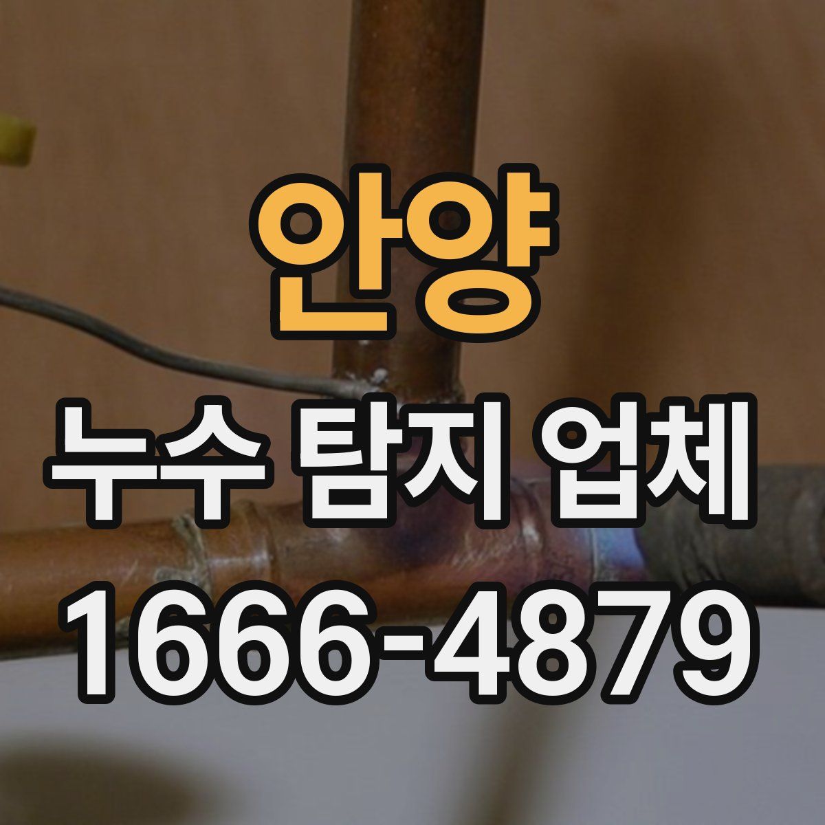 안양 누수 탐지 업체