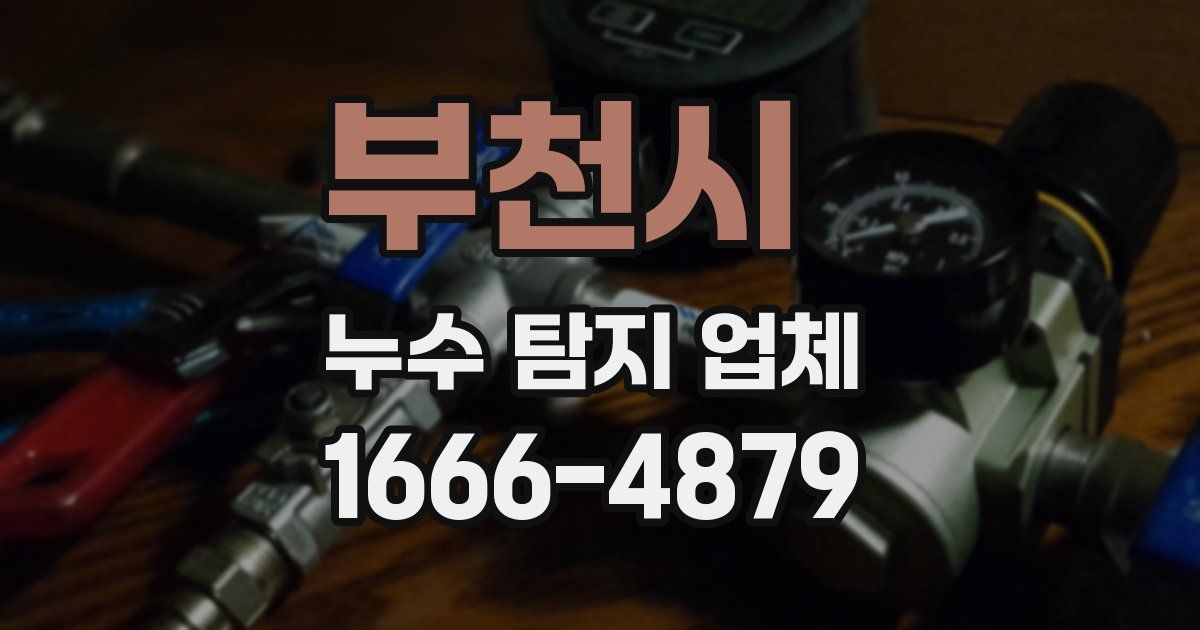부천시 누수 탐지 업체
