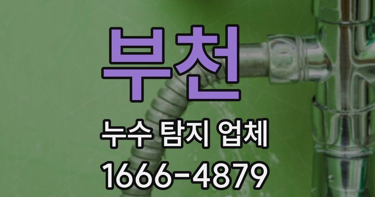 부천 누수 탐지 업체