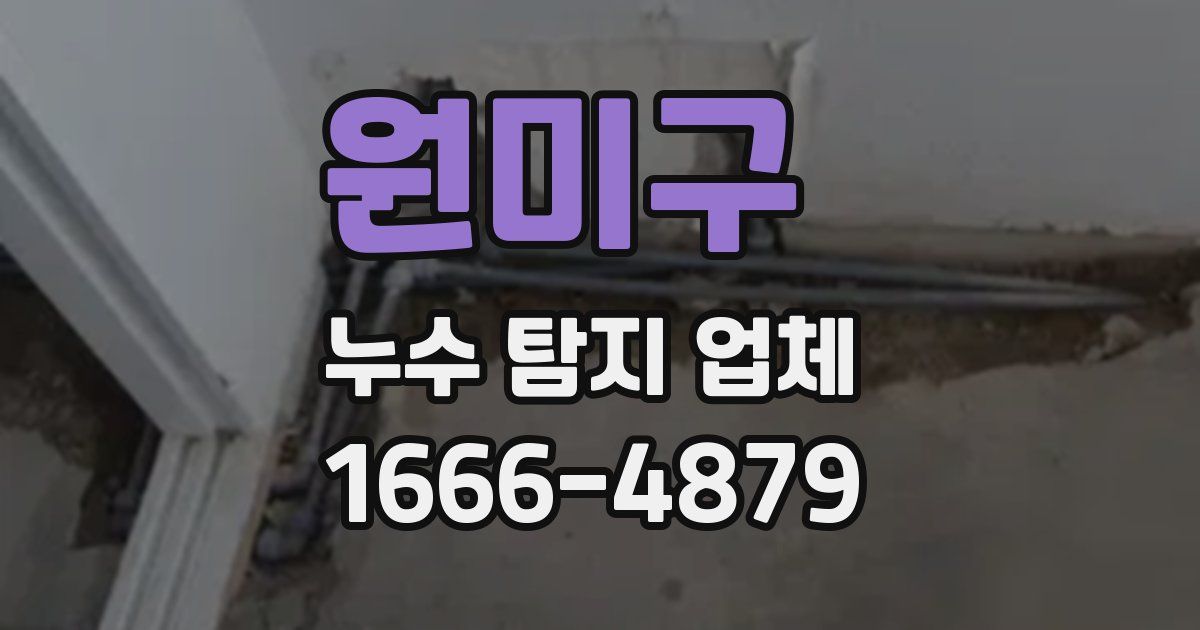 원미구 누수 탐지 업체