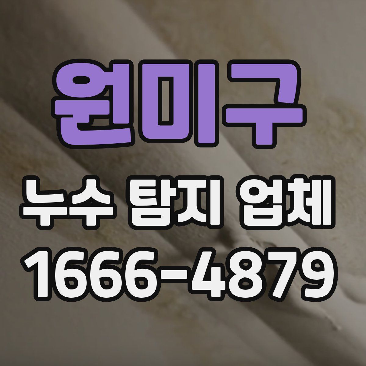 원미구 누수 탐지 업체