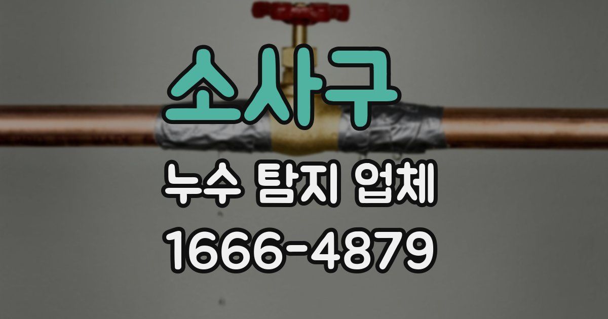 소사구 누수 탐지 업체