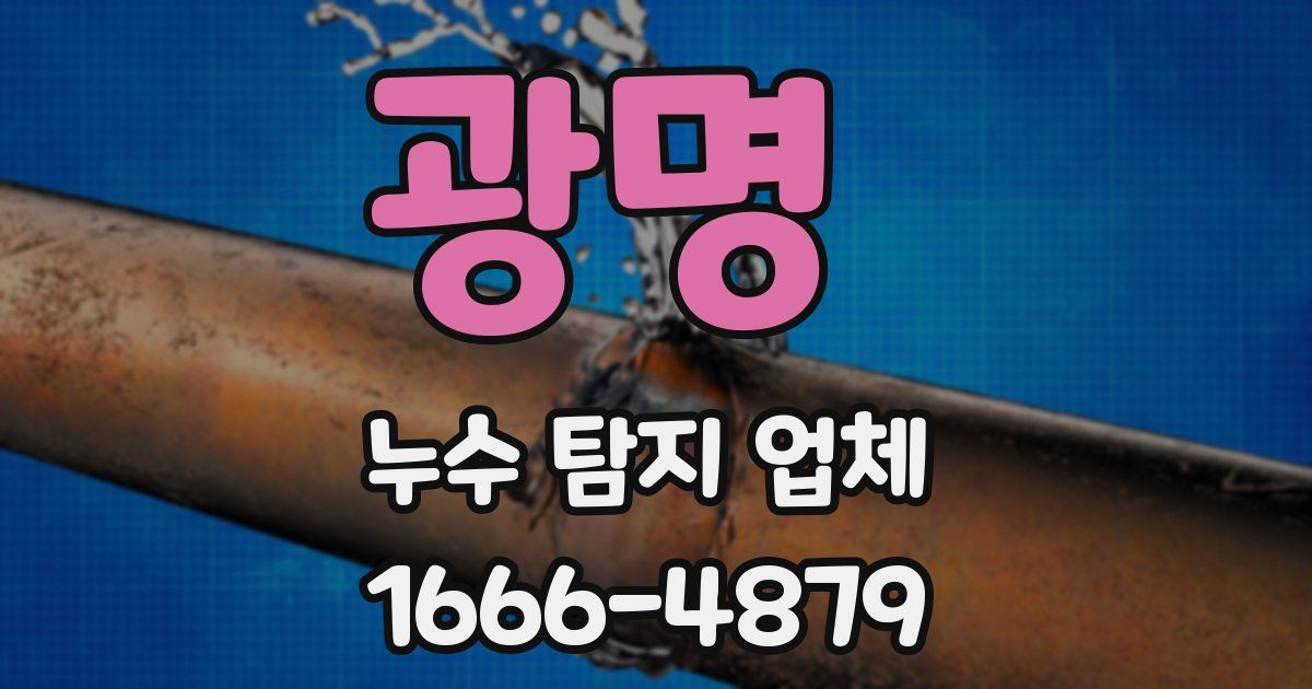 광명 누수 탐지 업체