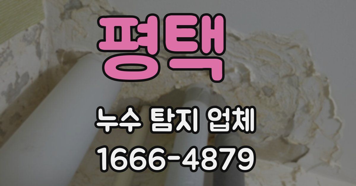 평택 누수 탐지 업체