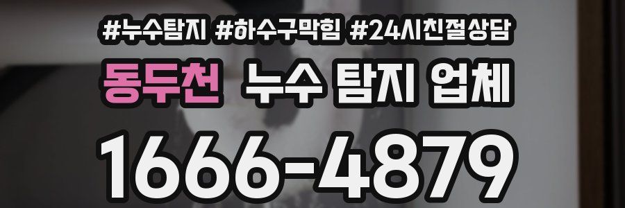 동두천 누수 탐지 업체