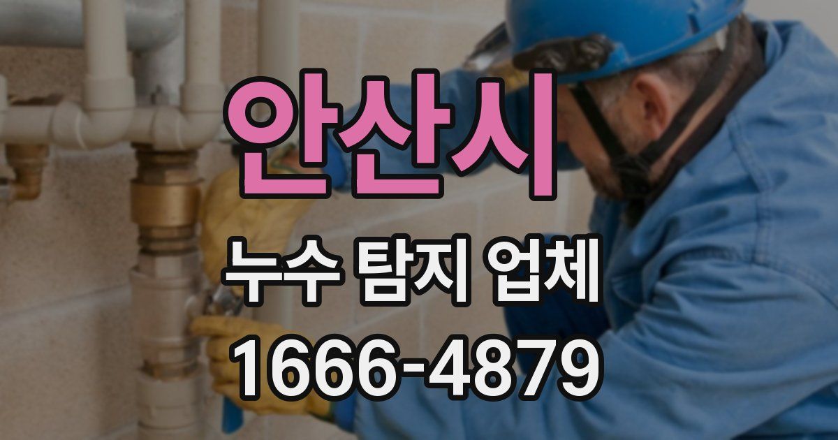 안산시 누수 탐지 업체