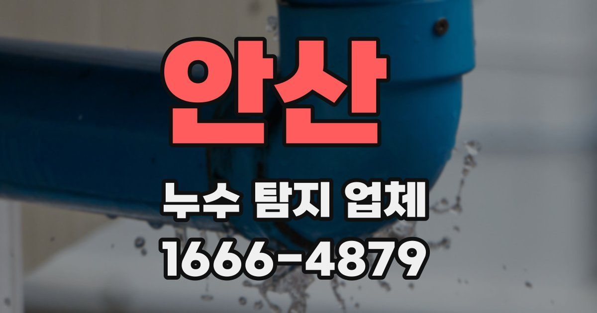 안산 누수 탐지 업체