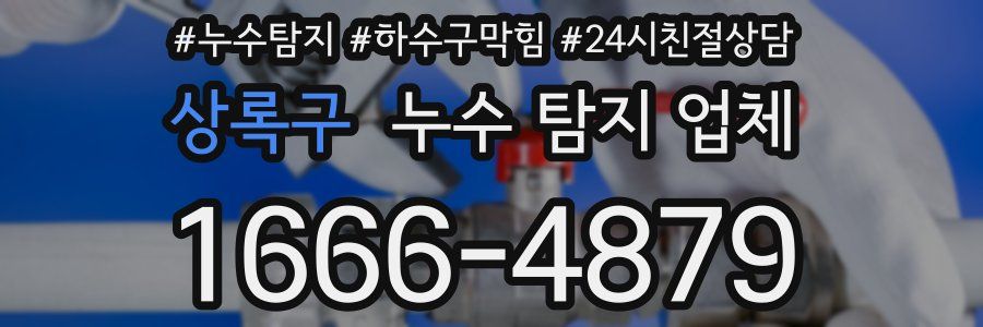 상록구 누수 탐지 업체