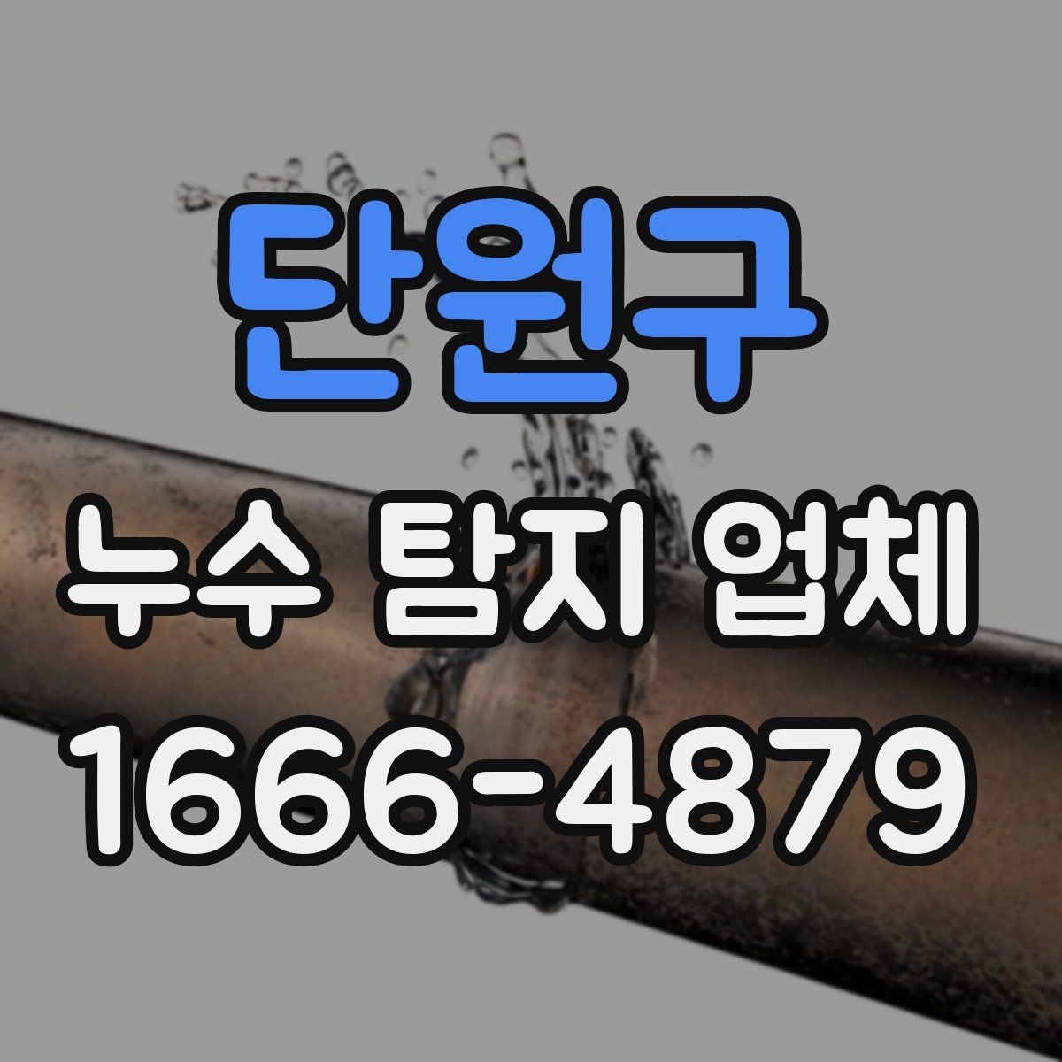 단원구 누수 탐지 업체