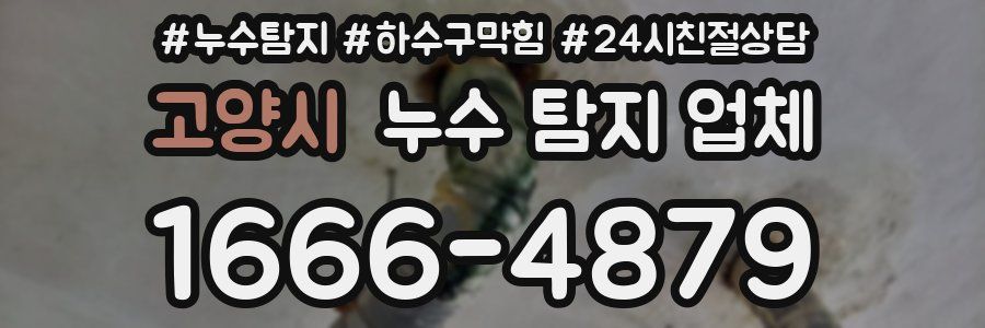 고양시 누수 탐지 업체