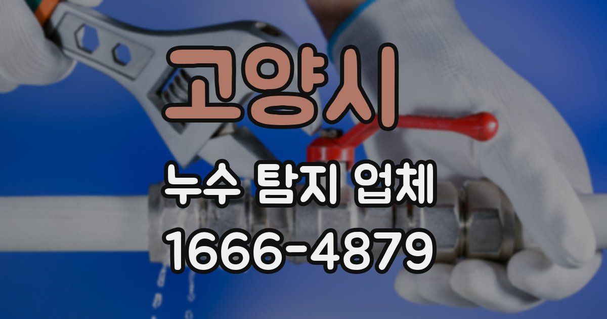 고양시 누수 탐지 업체
