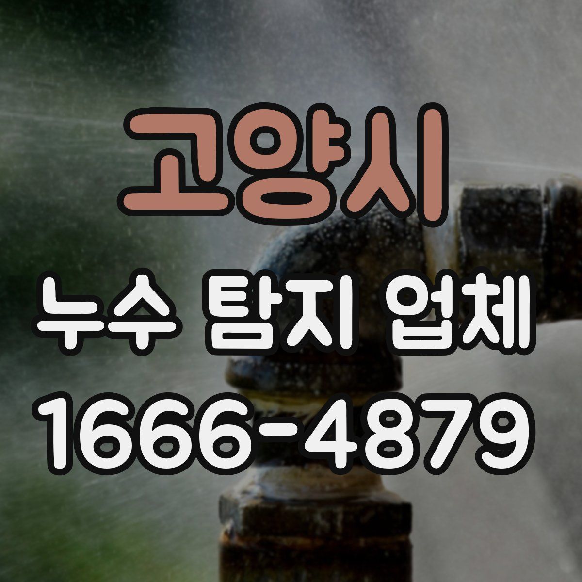 고양시 누수 탐지 업체