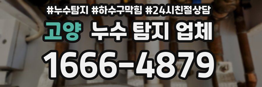 고양 누수 탐지 업체
