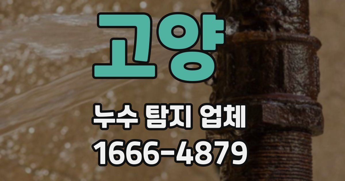 고양 누수 탐지 업체