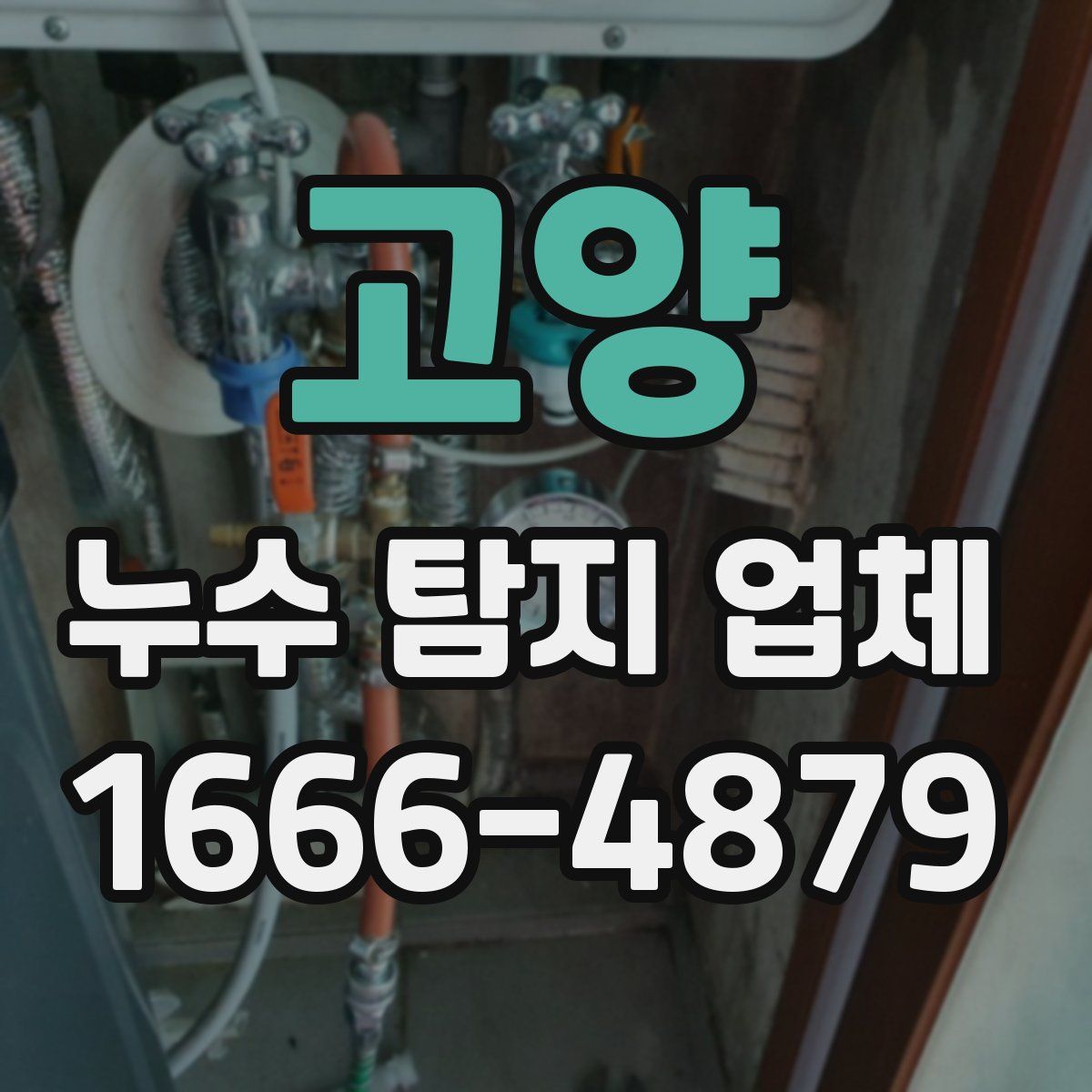 고양 누수 탐지 업체