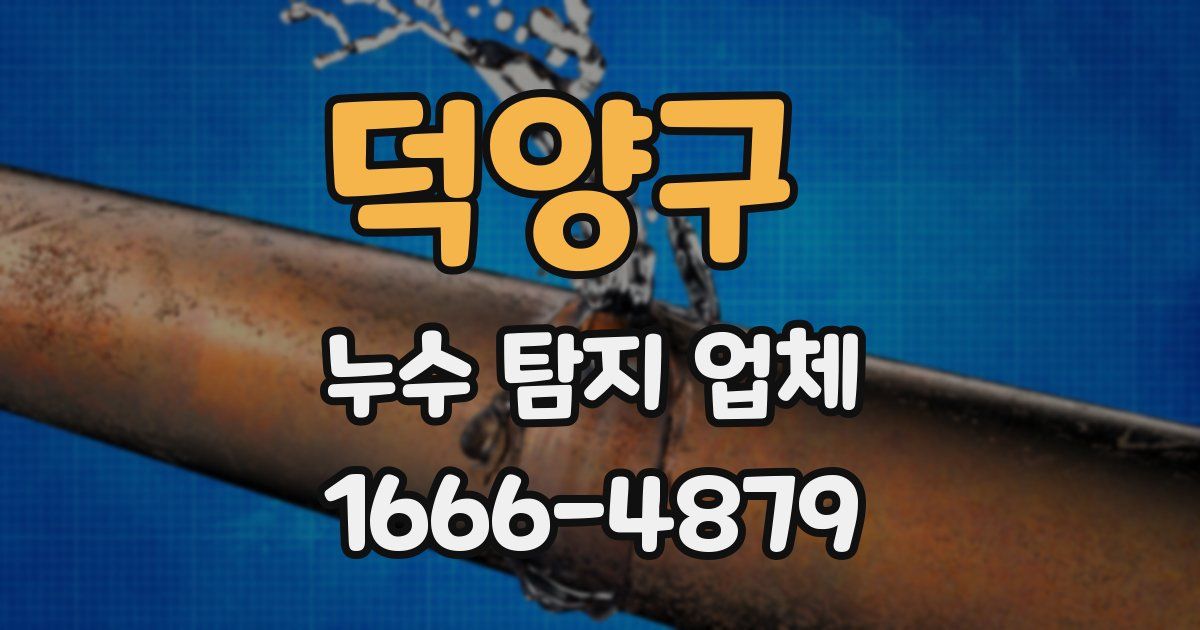 덕양구 누수 탐지 업체