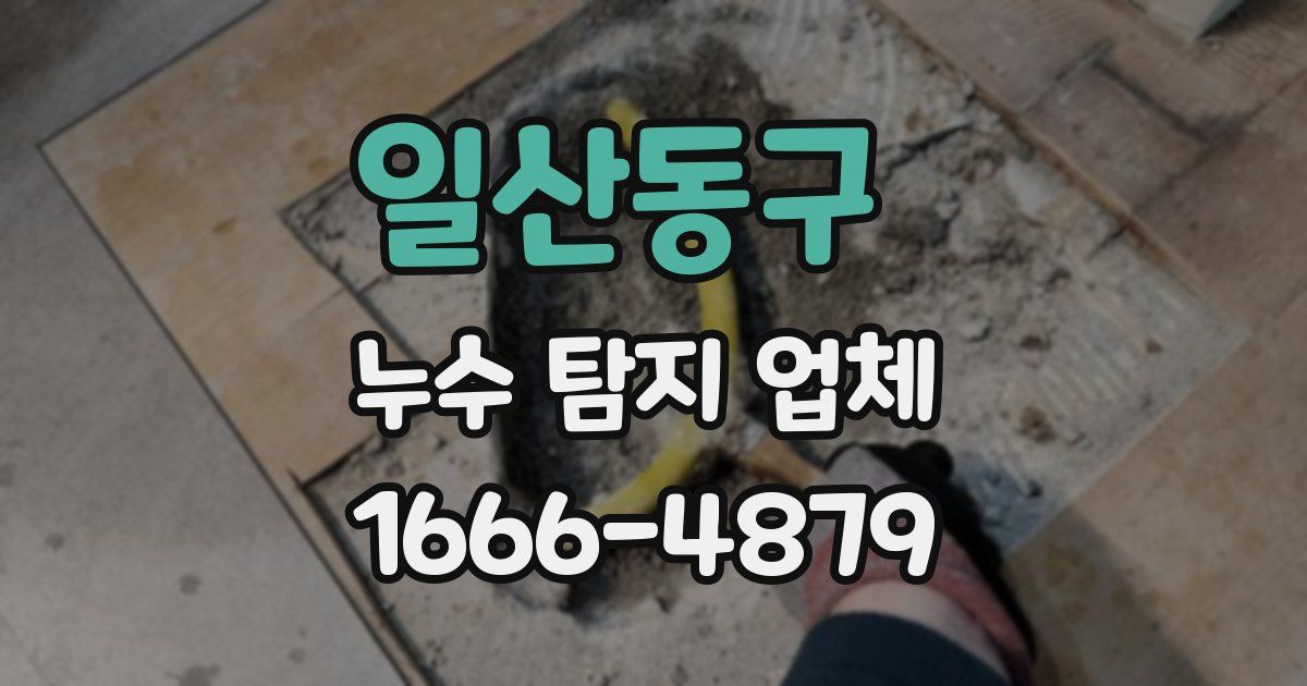 일산동구 누수 탐지 업체