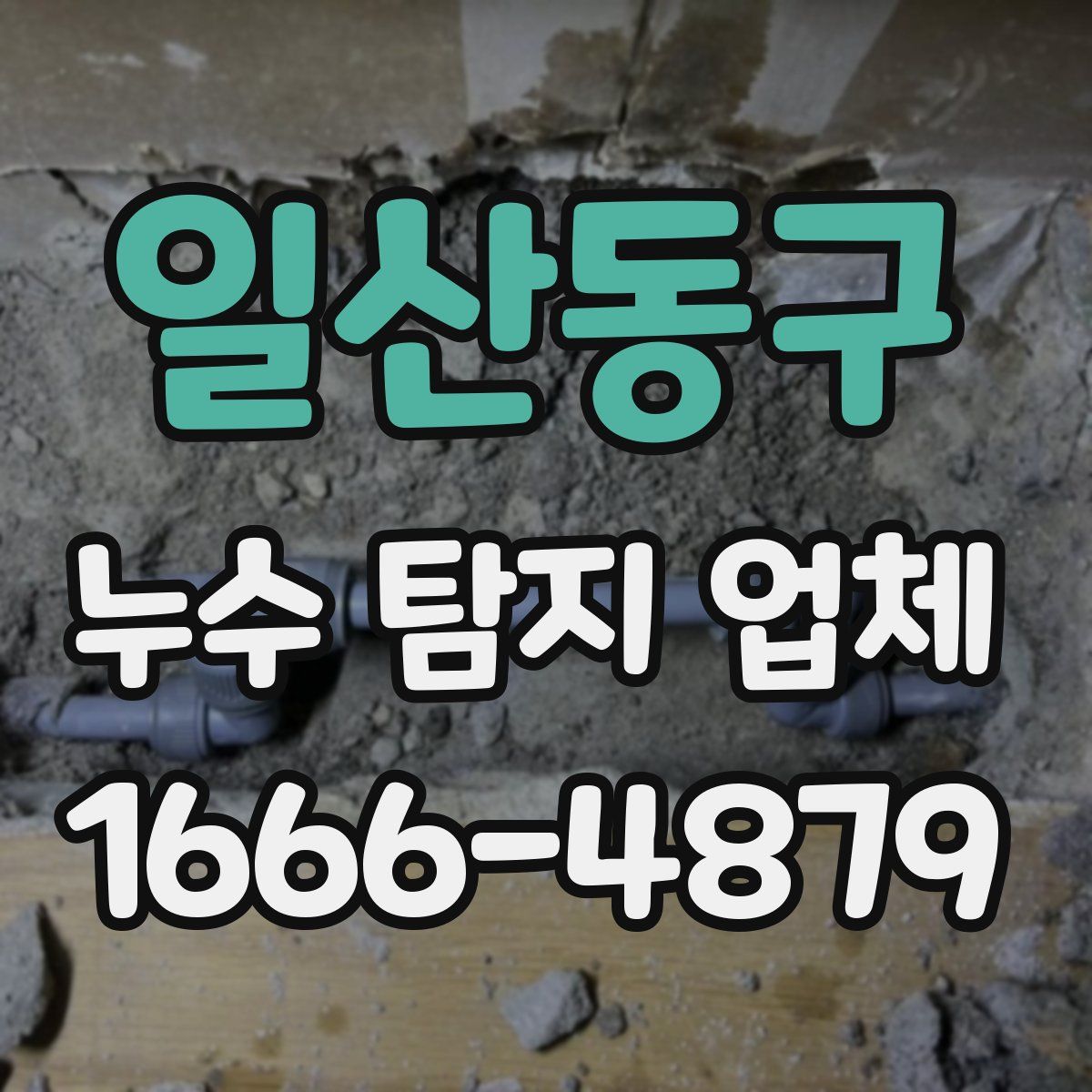 일산동구 누수 탐지 업체