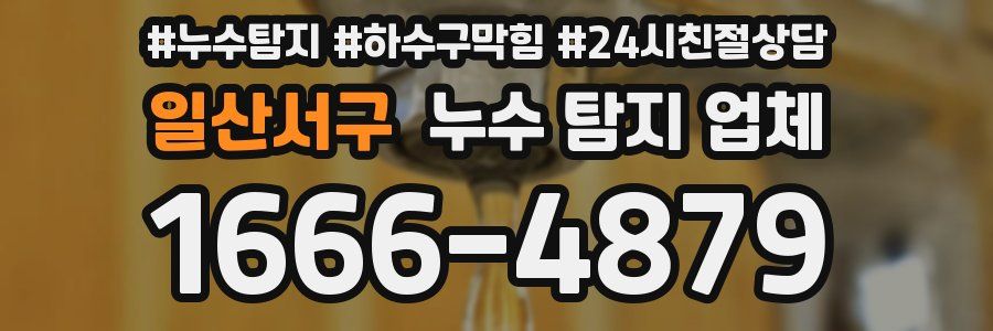 일산서구 누수 탐지 업체