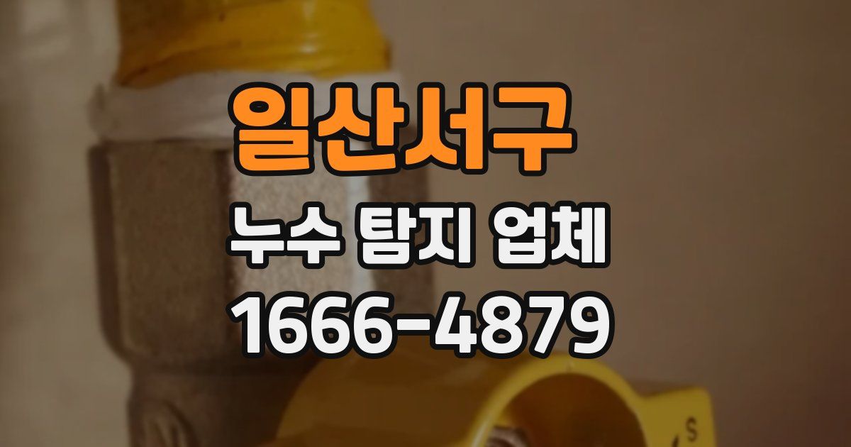 일산서구 누수 탐지 업체