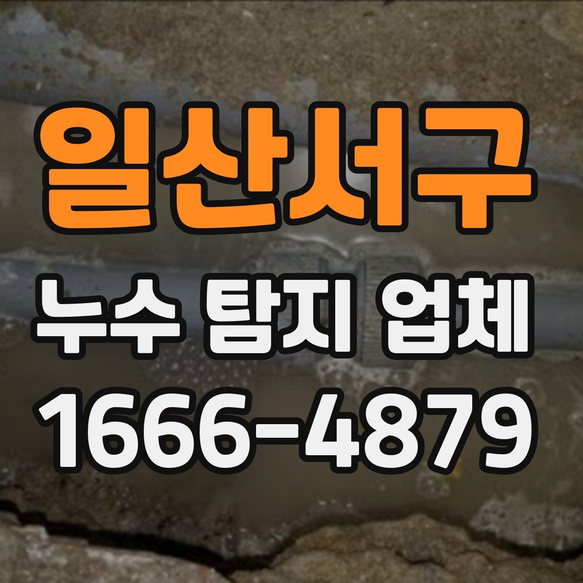 일산서구 누수 탐지 업체