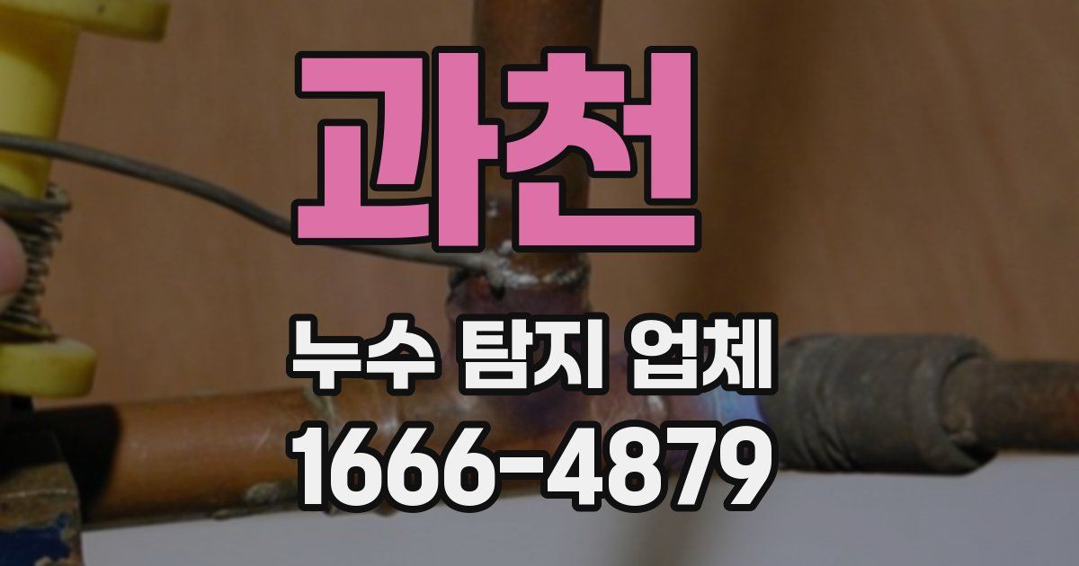 과천 누수 탐지 업체