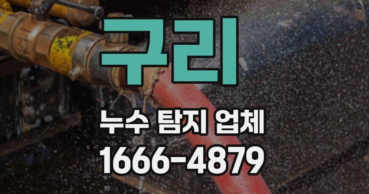 구리 누수 탐지 업체