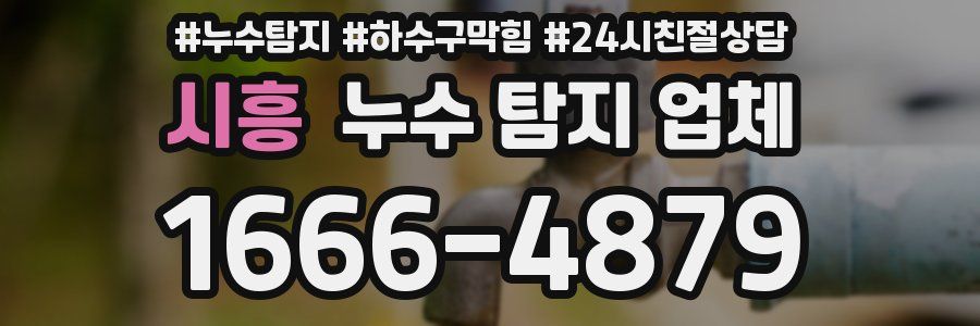 시흥 누수 탐지 업체