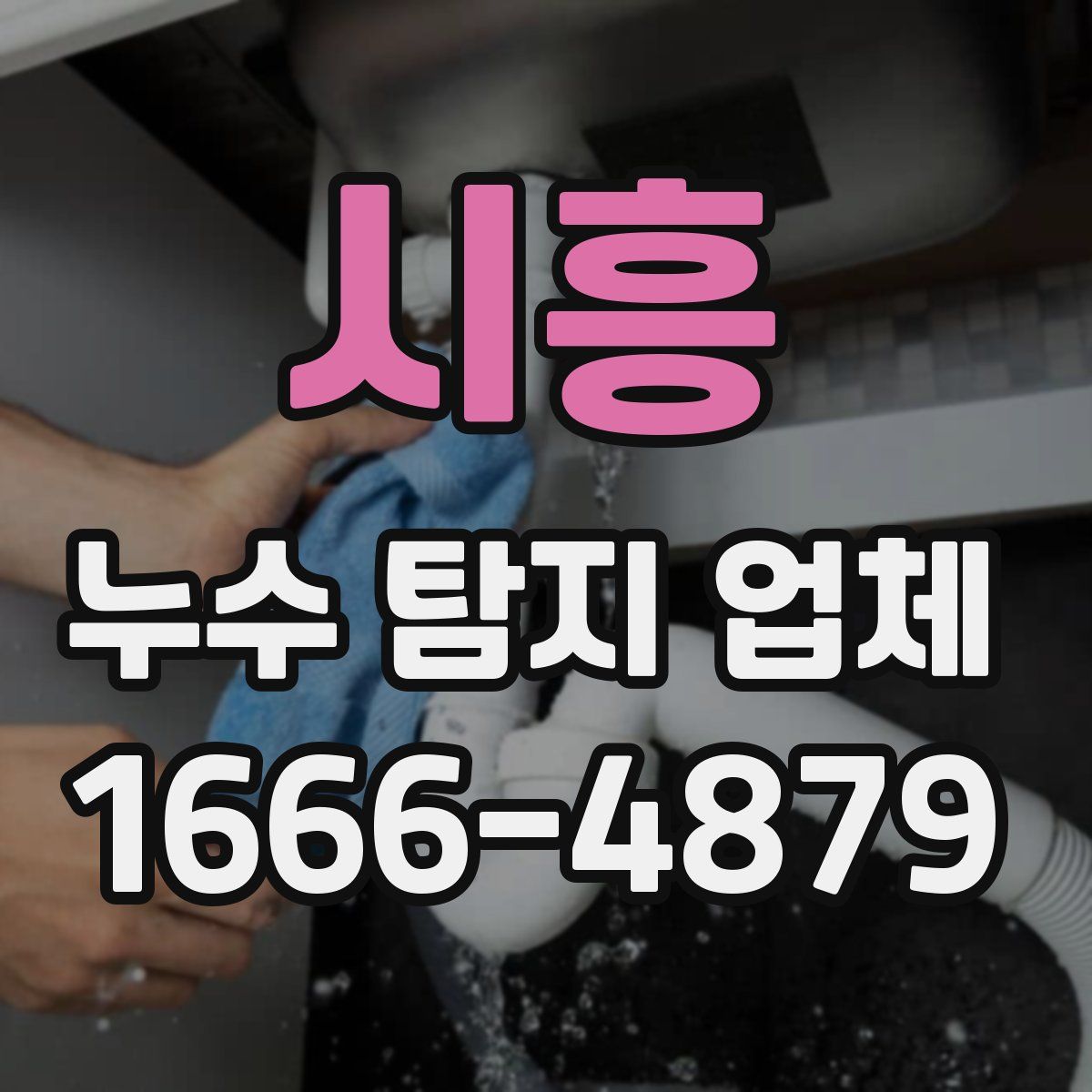 시흥 누수 탐지 업체