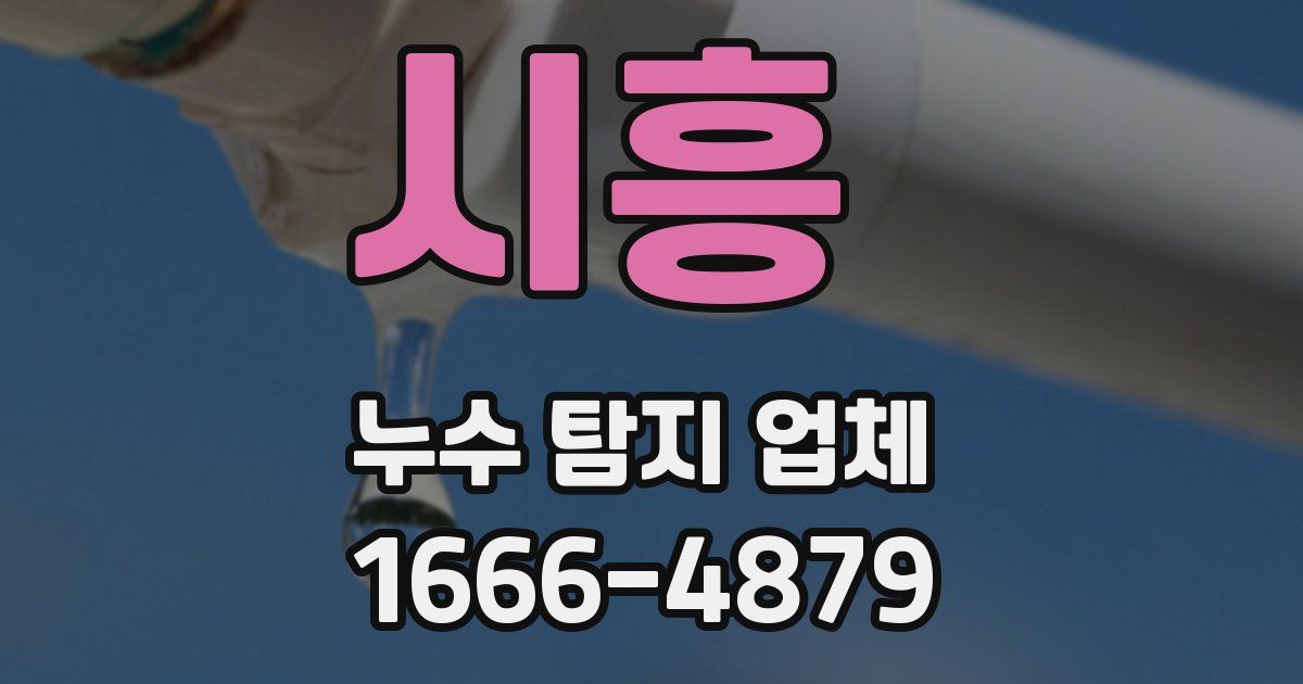 시흥 누수 탐지 업체