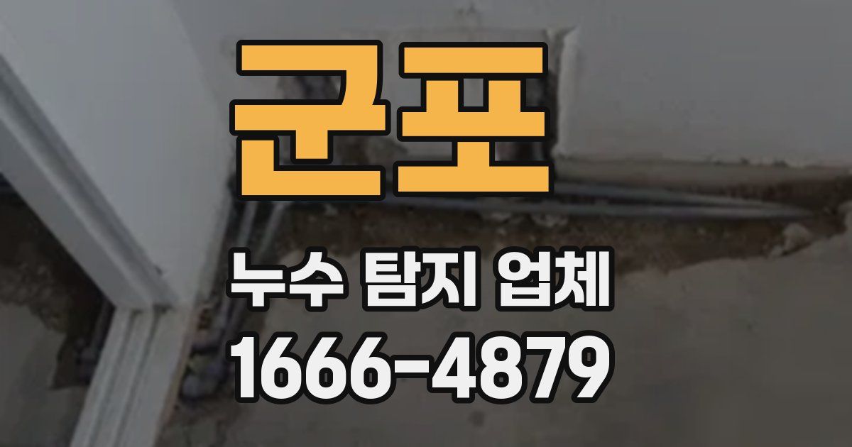 군포 누수 탐지 업체